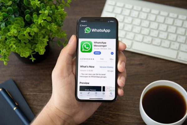 Whatsapp Business para Fisiatras